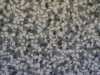 goruntu241